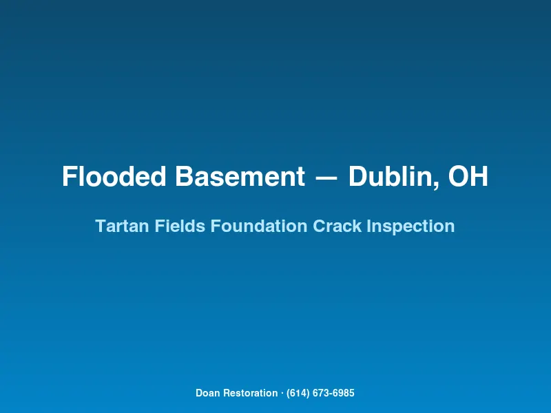 Technician inspecting hairline foundation crack and clogged window well in a Tartan Fields Dublin basement