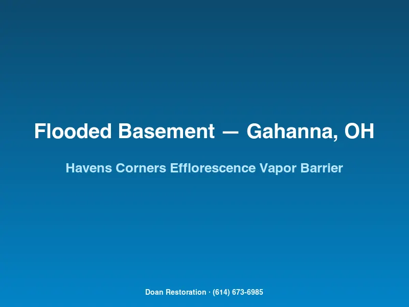 Efflorescence removal and vapor barrier installation on a Havens Corners Gahanna basement foundation wall