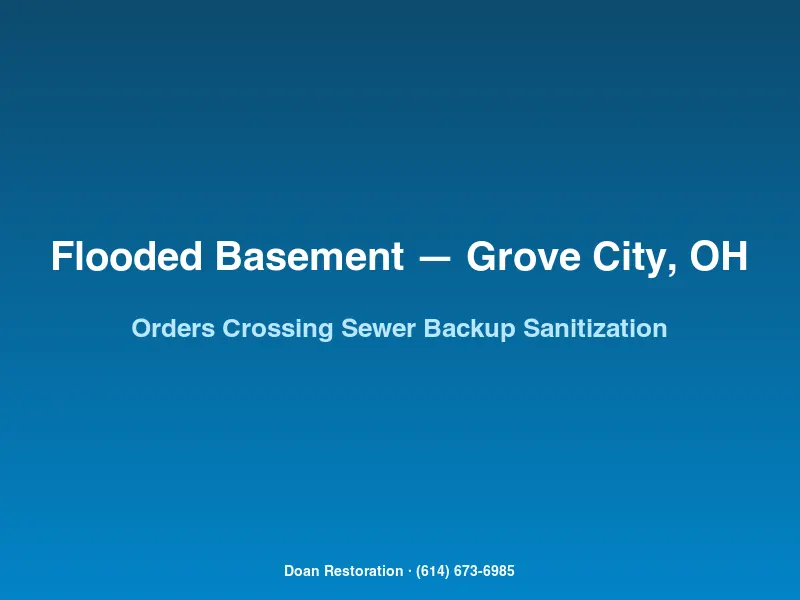 Biohazard PPE and antimicrobial sanitization after a sanitary sewer backup in an Orders Crossing Grove City basement