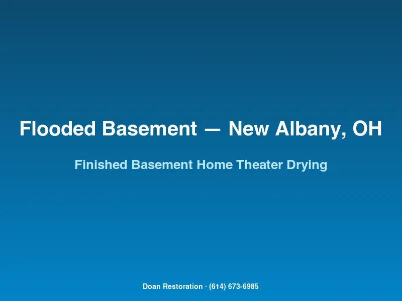 Specialty drying equipment salvaging a finished home theater and wine cellar in a New Albany luxury basement