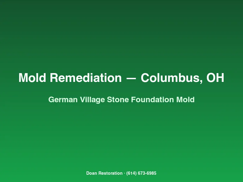 Mold remediation Columbus German Village stone foundation wall with active Stachybotrys colonization before HEPA cleaning