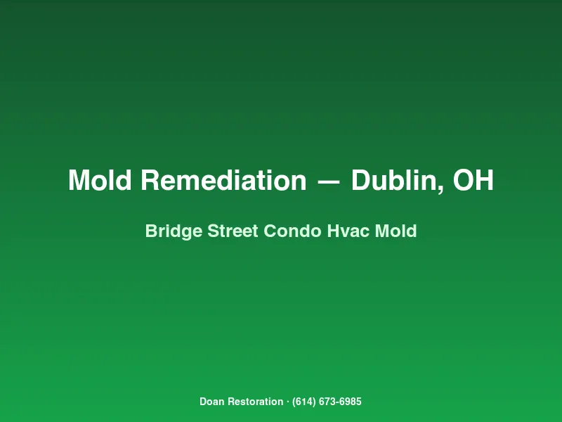 Mold remediation Dublin Bridge Street District condo HVAC air handler showing Cladosporium growth on evaporator coil