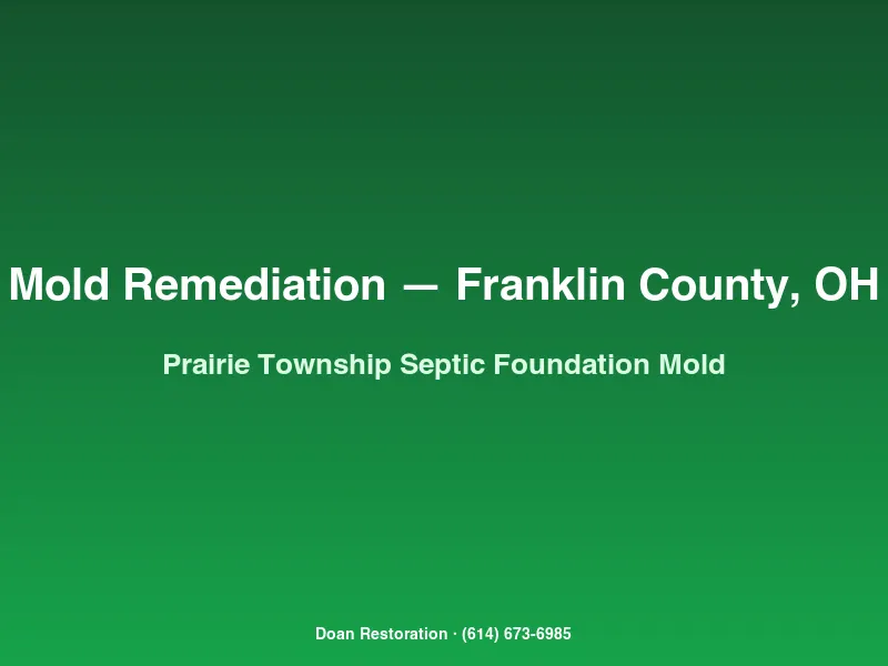 Mold remediation Franklin County Prairie Township basement foundation wall with saturated septic leach field migration