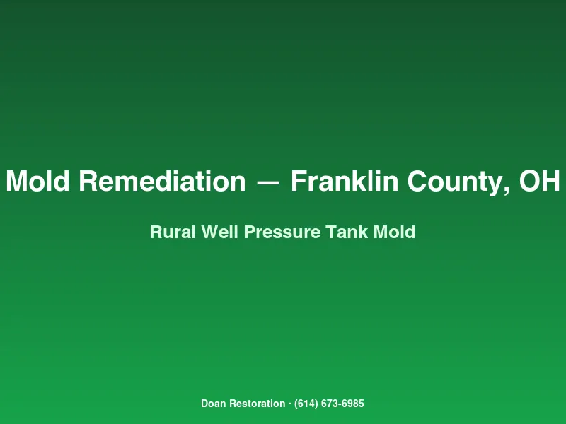 Mold remediation Franklin County rural crawl space with well pressure tank condensation moisture source thermal imaging