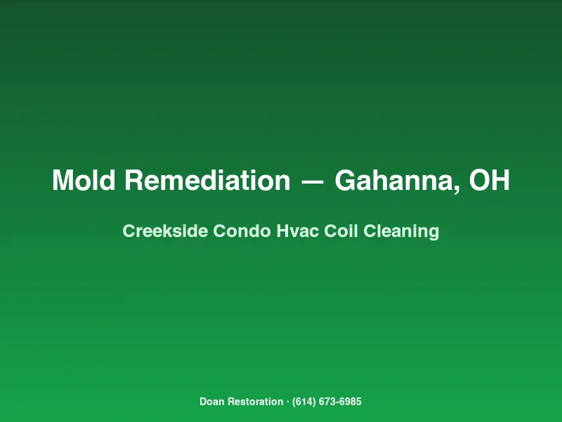 Mold remediation Gahanna Creekside condo HVAC evaporator coil cleaning with borescope inspection of supply ductwork