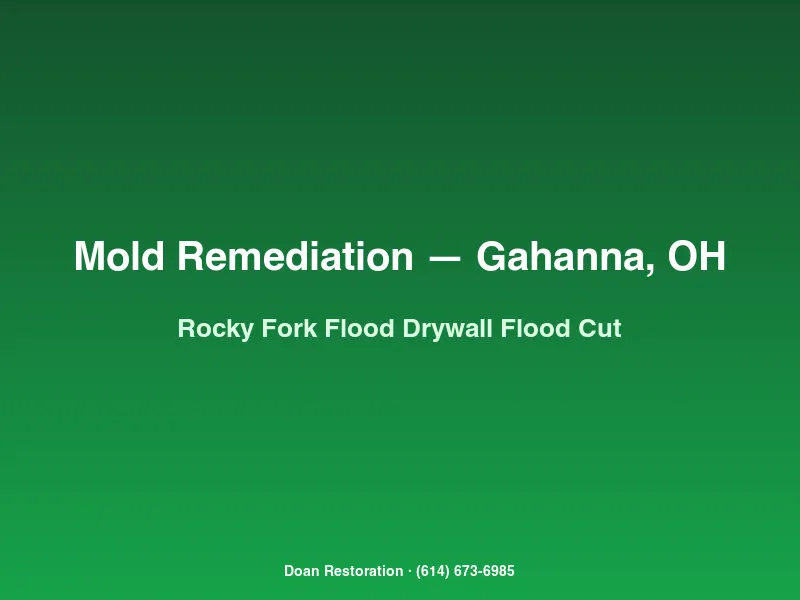Mold remediation Gahanna basement post-Rocky Fork flooding with 48-inch flood cut drywall removal per IICRC S500