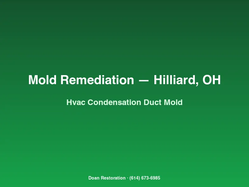 Mold remediation Hilliard new construction HVAC supply duct interior with Cladosporium condensation mold from undersized return