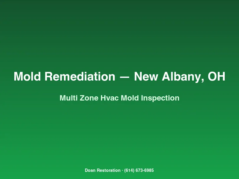Mold remediation New Albany multi-zone HVAC system with zone-isolated air handler inspection and Air-O-Cell sampling