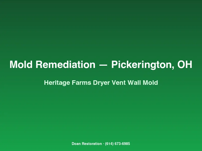 Mold remediation Pickerington Heritage Farms laundry room wall opened showing dryer vent backdraft cavity mold