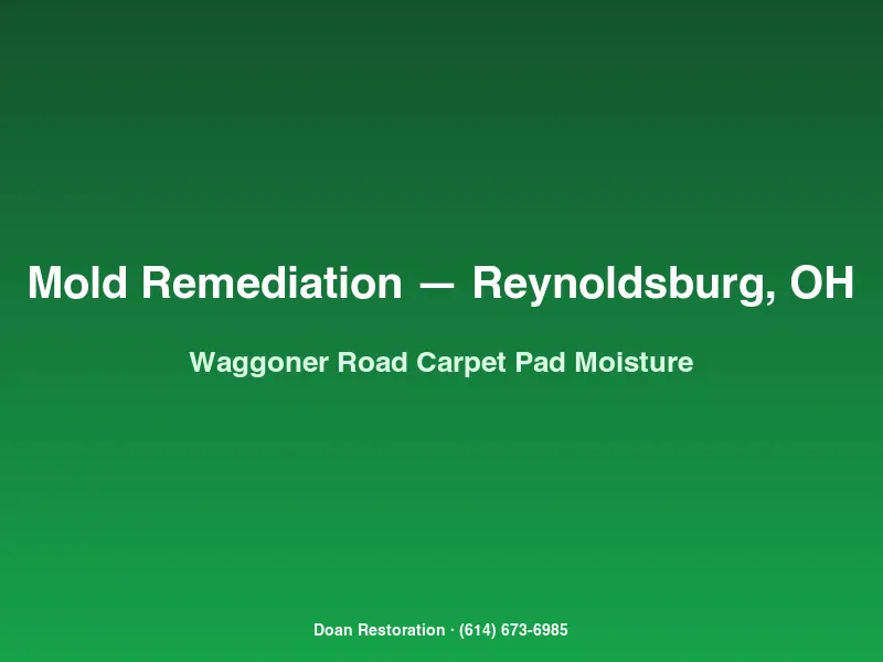 Mold remediation Reynoldsburg Waggoner Road basement carpet pad removed showing pin moisture meter slab grid testing