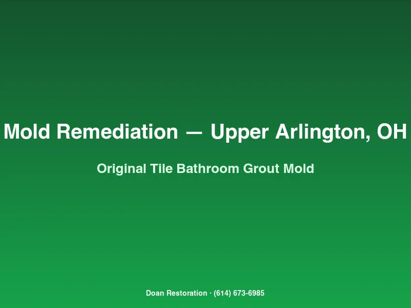 Mold remediation Upper Arlington original 1950s tile bathroom with Cladosporium grout staining tape lift sampling