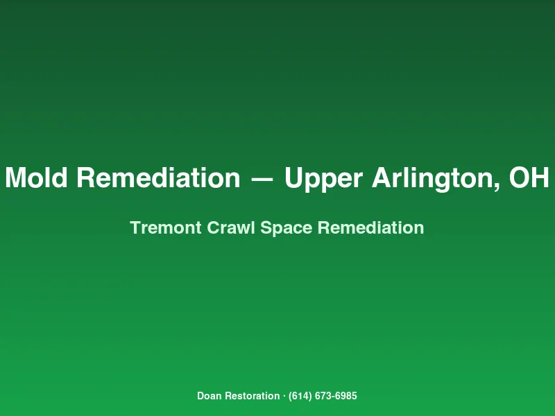 Mold remediation Upper Arlington Tremont crawl space with joist HEPA wiping and encapsulation targeting ERMI score under 2