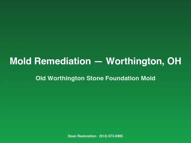 Mold remediation Worthington 1800s stone foundation basement with HEPA cleaning and porous masonry antimicrobial treatment