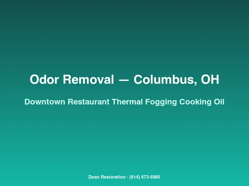 Thermal fogger deodorizing the kitchen walls of a downtown Columbus restaurant saturated with rancid cooking-oil odor