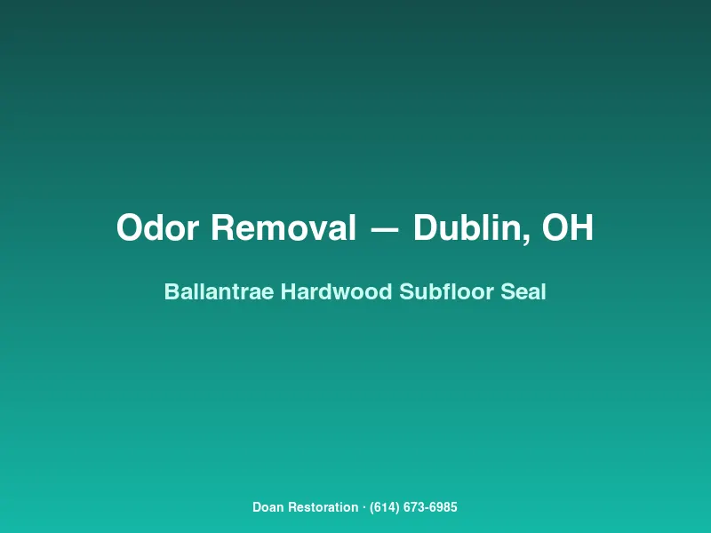 Lifted hardwood planks in a Ballantrae home revealing oil-based shellac sealer applied to pet-urine-saturated subfloor