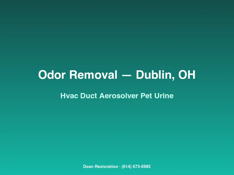 Technician injecting AeroSolver dry-fog into HVAC trunk lines of a Dublin luxury home to treat cat-urine odor embedded in ductwork