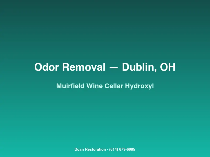 Hydroxyl generator treating mildew odor in a Muirfield Village wine cellar with bottles temporarily relocated