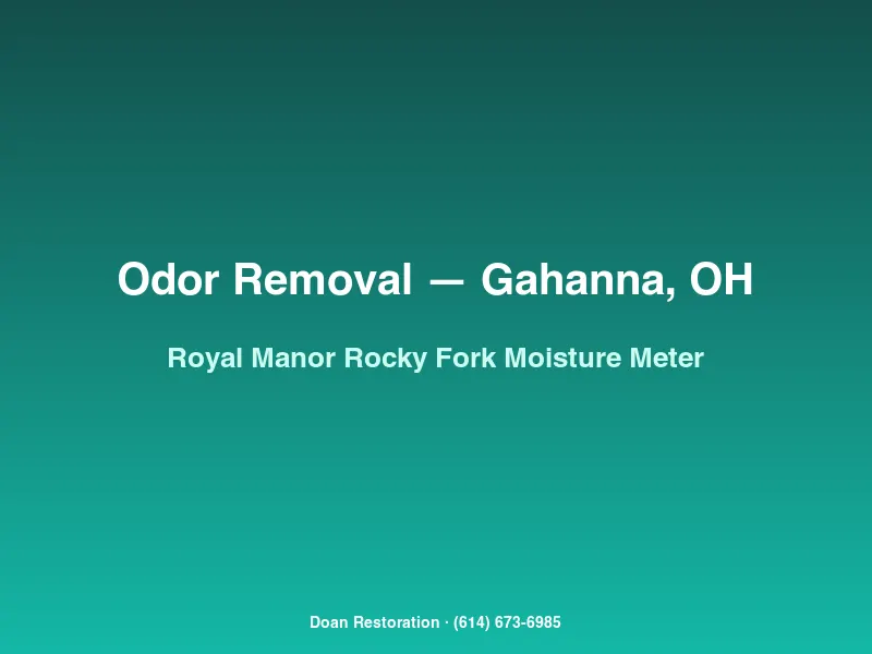 Moisture meter reading on a Royal Manor sill plate after Rocky Fork flooding to diagnose recurring mildew odor
