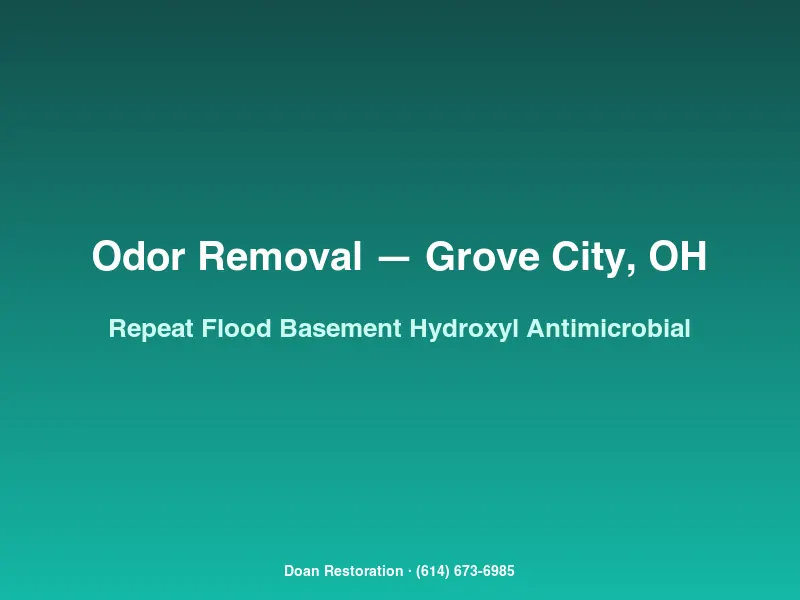 Hydroxyl generator and dehumidifier treating mildew odor in a Grove City basement after a second flood event