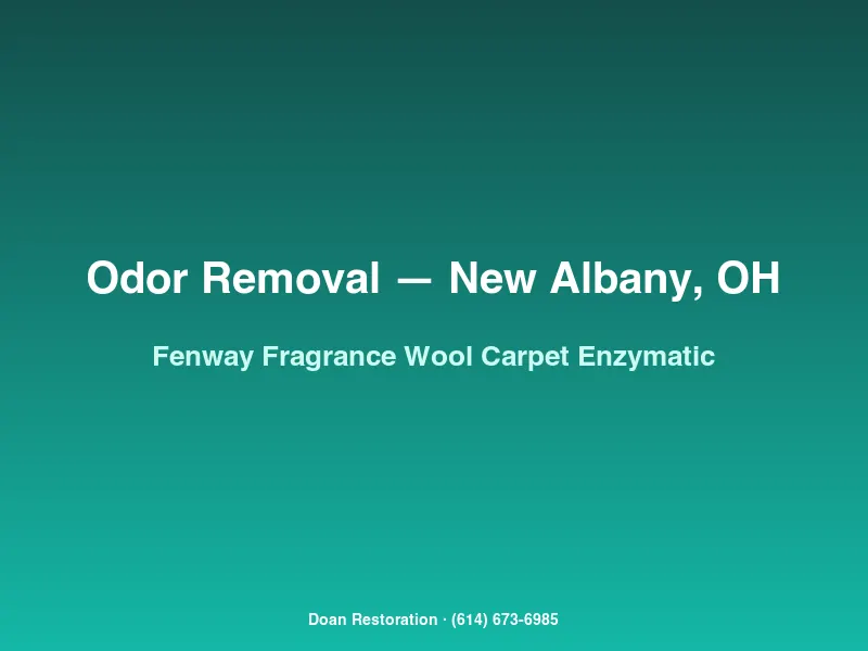 Cold-water enzymatic treatment applied to wool carpet in a Fenway estate home to remove previous owner's fragrance-product saturation