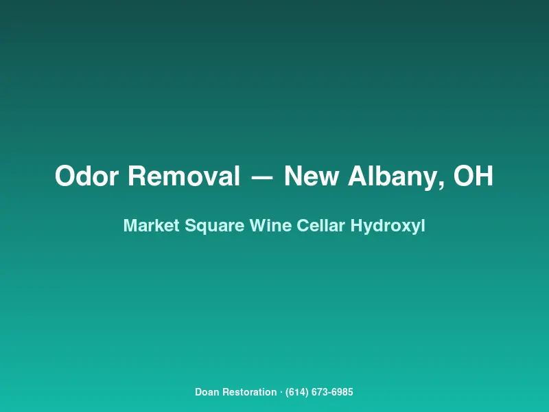 Hydroxyl generator treating a musty Market Square wine cellar with bottles relocated to temperature-controlled holding