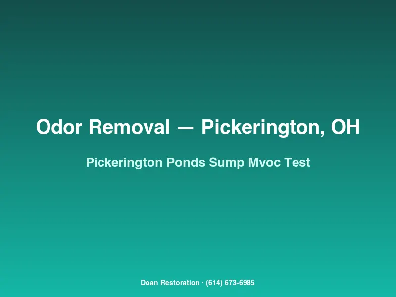 Moisture meter testing framing in a Pickerington Ponds basement with intermittent musty odor after a sump pump failure