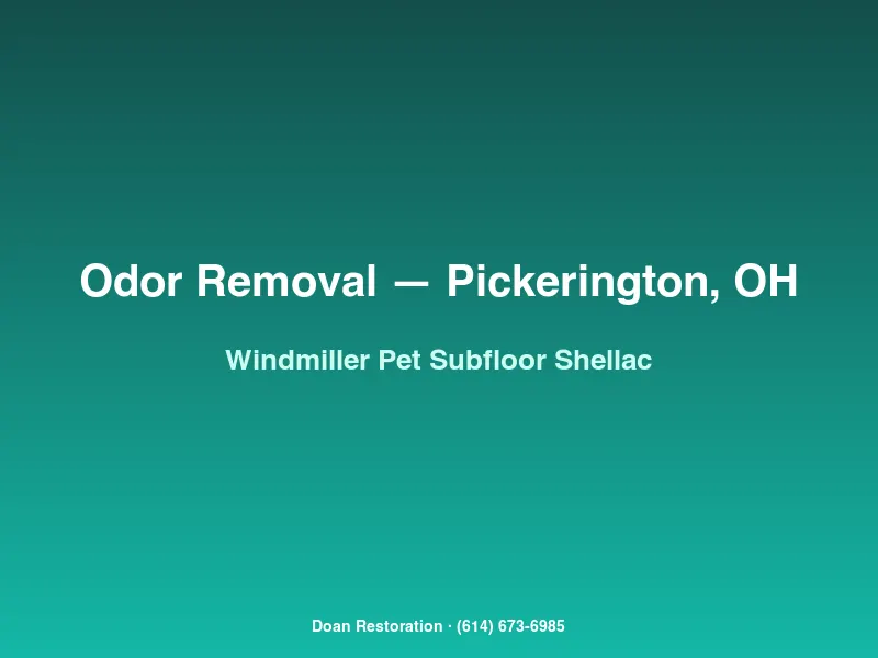 Oil-based shellac sealing pet-urine-saturated subfloor in a Windmiller Estates home before ozone cycle