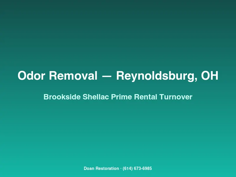 Shellac stain-blocking primer applied to walls of a Brookside Woods rental during fast-track turnover after smoking and pet damage