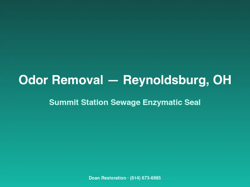 Enzymatic biocide and oil-based primer applied to subfloor in a Summit Station rental after Category 3 sewer backup