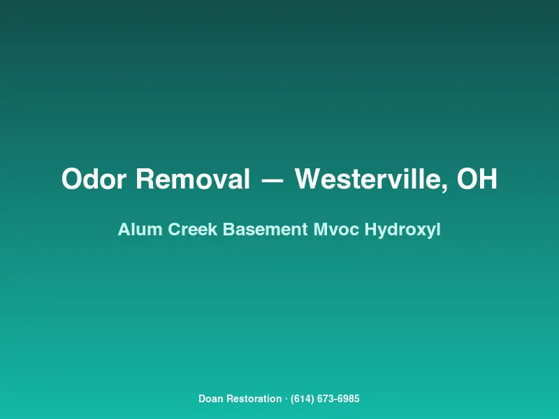 Hydroxyl generator running in an Alum Creek basement to neutralize lingering musty MVOC odor after sump pump repair