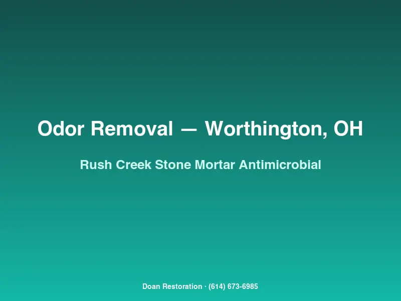 Antimicrobial treatment applied to stone foundation mortar joints in a Rush Creek Village basement with spring seepage