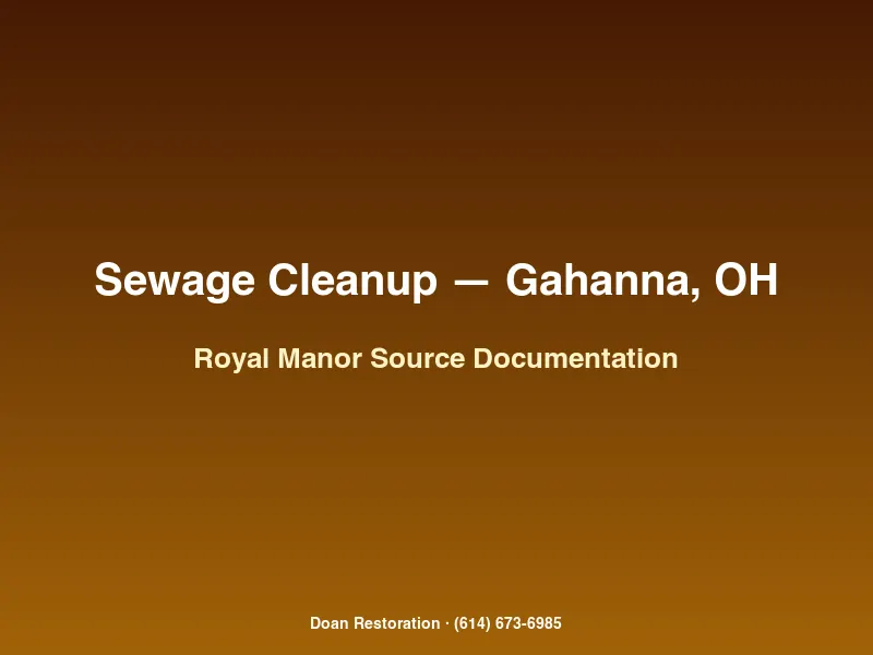 Documenting sewage backup source for insurance claim in a Royal Manor Gahanna Ohio basement after combined flood and sewer event
