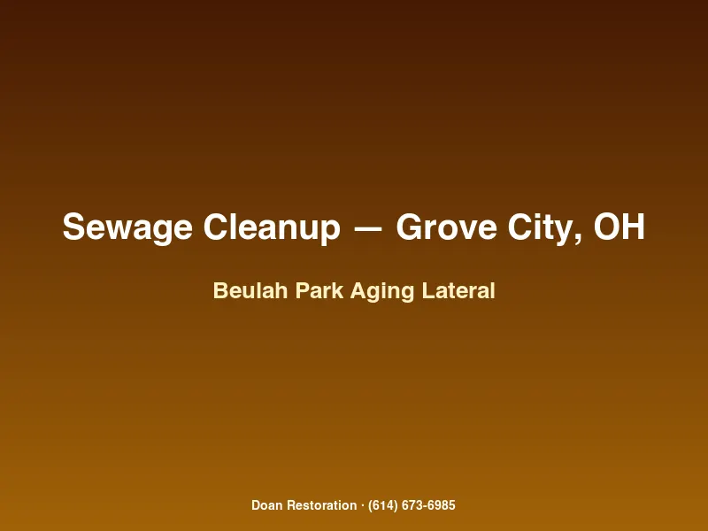 Documenting Category 3 sewage damage from an aging municipal main in a Beulah Park Grove City Ohio home