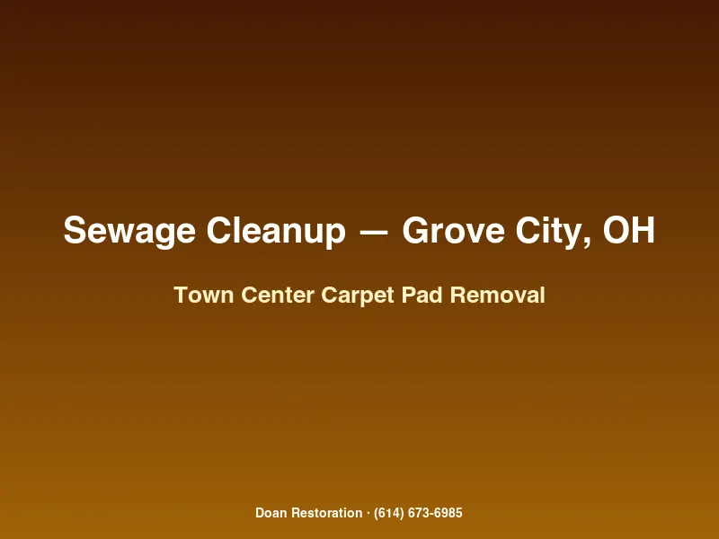 Carpet pad and baseboard removal after Category 3 sewage spread on a Grove City Town Center slab home main floor