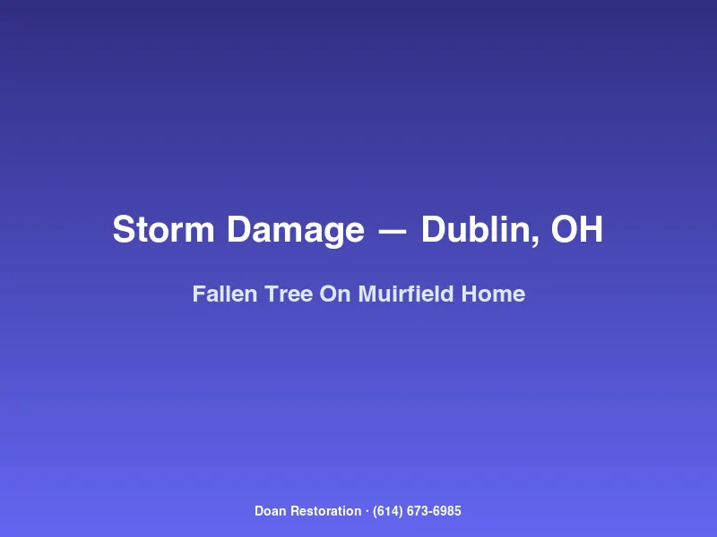 Large mature oak tree fallen onto the roof of a two-story Dublin Muirfield home with crushed gutters and broken trusses