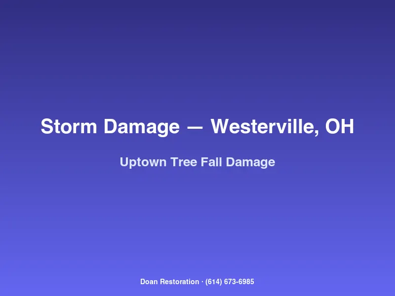 Large mature tree fallen on a historic Uptown Westerville home with crushed front porch and damaged roof