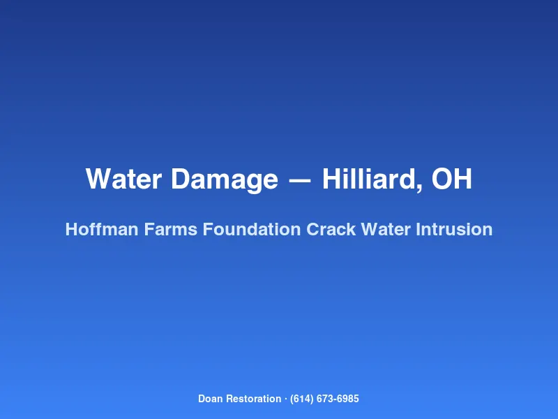 Water damage restoration crew drying a basement after foundation crack seepage in a Hoffman Farms home in Hilliard, OH.