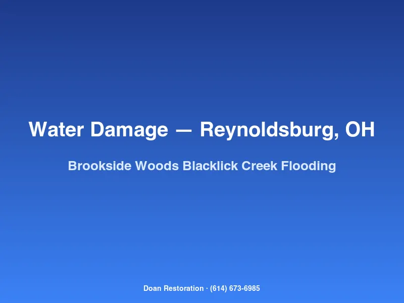 Doan Restoration crew extracting Blacklick Creek floodwater from a Brookside Woods Reynoldsburg basement.
