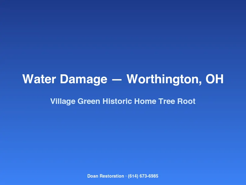 Doan Restoration crew assessing water damage from tree root sewer intrusion at a historic home near Worthington Village Green.